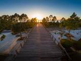 106 Salt Air Ct - Photo 8