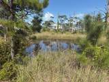 TBD Cape San Blas Rd - Photo 5