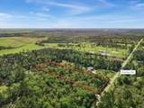 6520 Ganley Rd - Photo 3