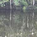 469 Old Bay City Rd - Photo 29
