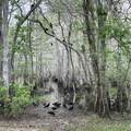 469 Old Bay City Rd - Photo 35