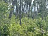 LOT 13 E Bay Dr - Photo 7