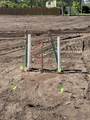 Lot 1 Simmons Way Dr - Photo 17
