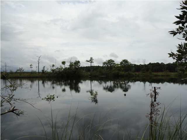 1943 River Bend Plantation Rd - Photo 1