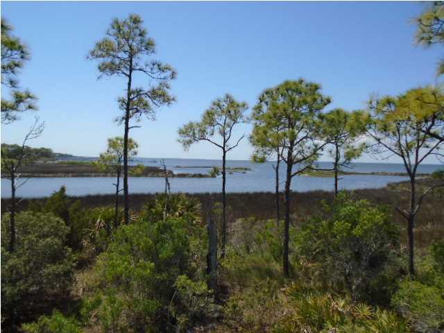 1931 Indian Harbor Rd - Photo 1