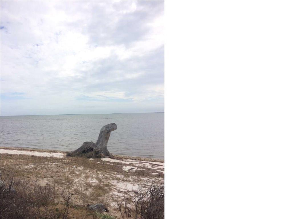 807 Hwy 98 - Photo 1