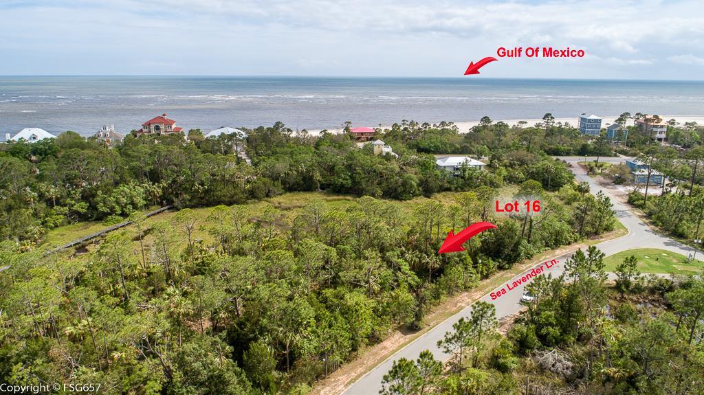 Lot 16 Sea Lavender Ln - Photo 1