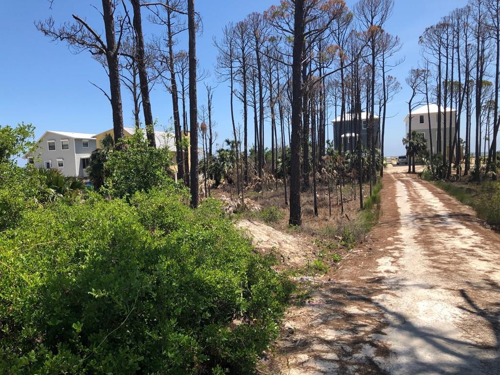 8 Lantana St - Photo 1