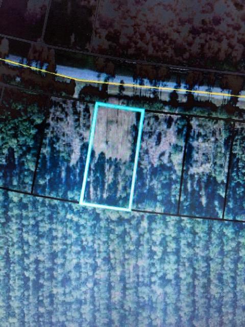 TBD Doc Whitfield Rd - Photo 1