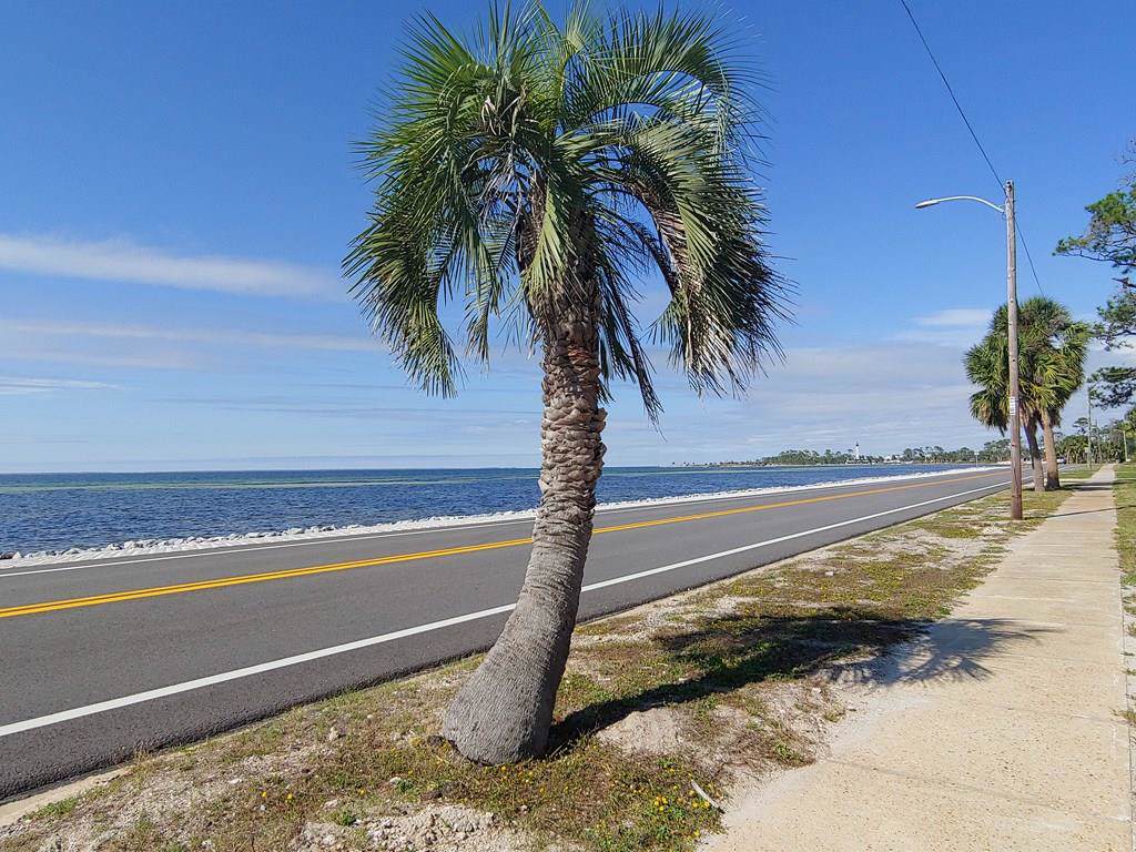 1203 Constitution Dr - Photo 1