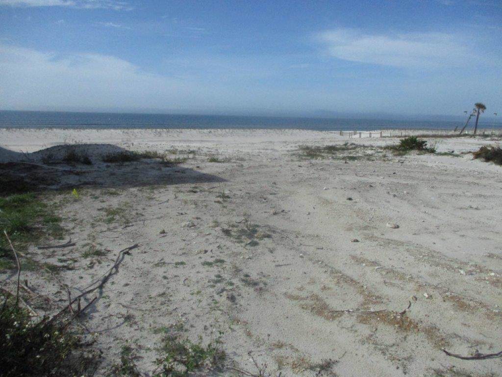 2001 Hwy 98 - Photo 1