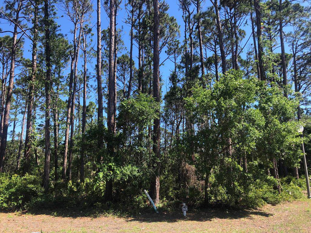 Lot 33 Outback Ln - Photo 1 Lot 33 Outback Ln - Photo 1