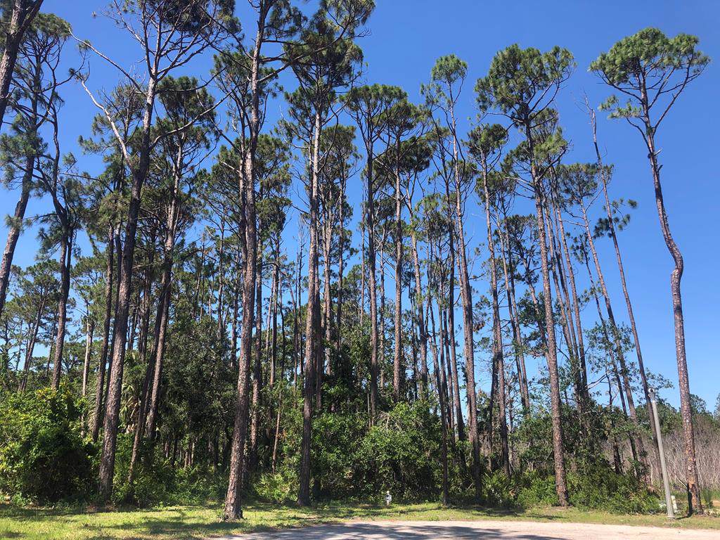 Lot 30 Outback Ln - Photo 1 Lot 30 Outback Ln - Photo 1