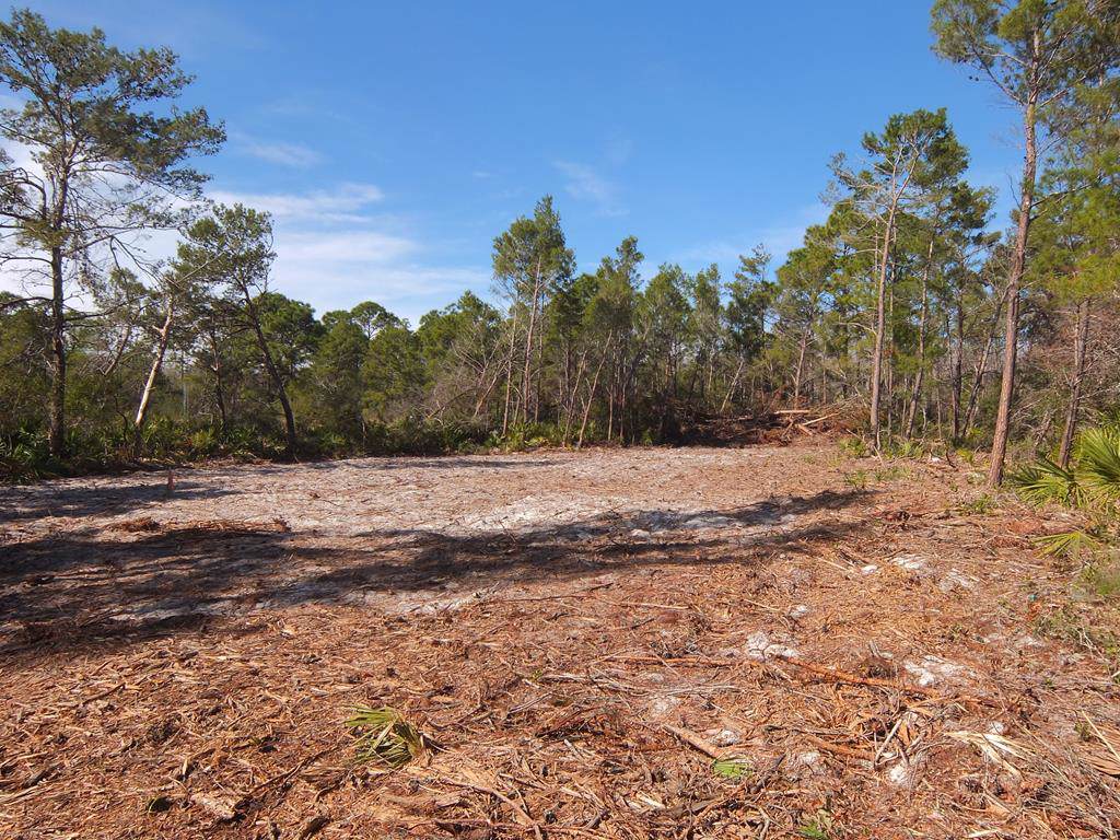 2119 Messer Rd - Photo 1