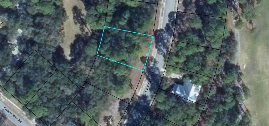 113 Laughing Gull Ln - Photo 1