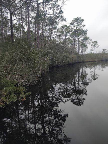 1973 River Bend Plantation Rd - Photo 1
