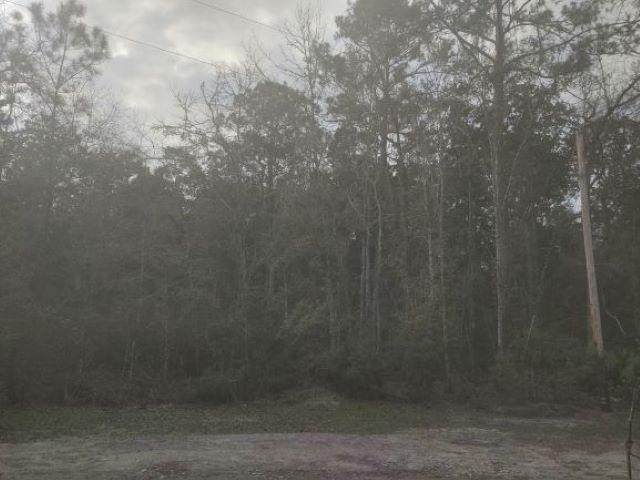 101 Pamela Pl - Photo 1