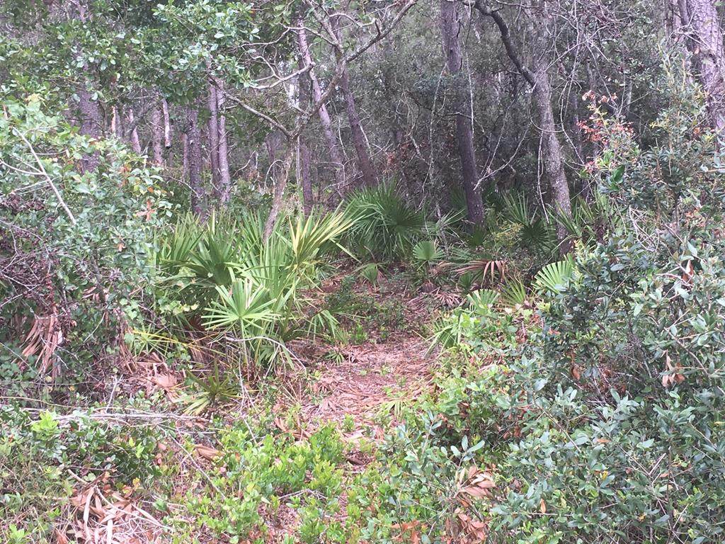 00 Hwy 98 E - Photo 1