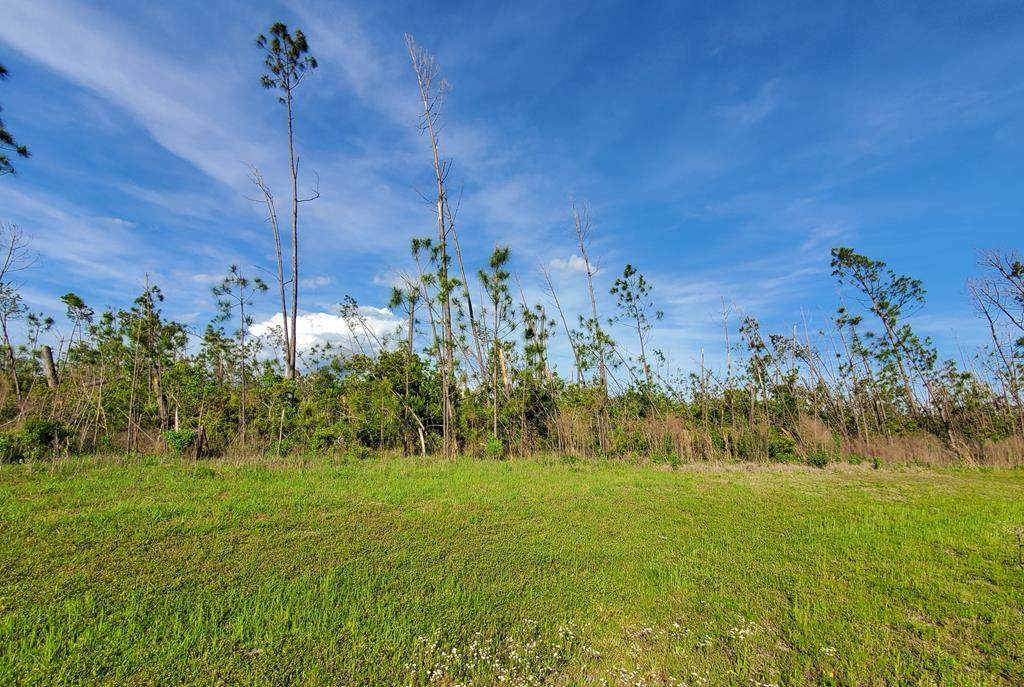 157 Ibis Dr. - Photo 1