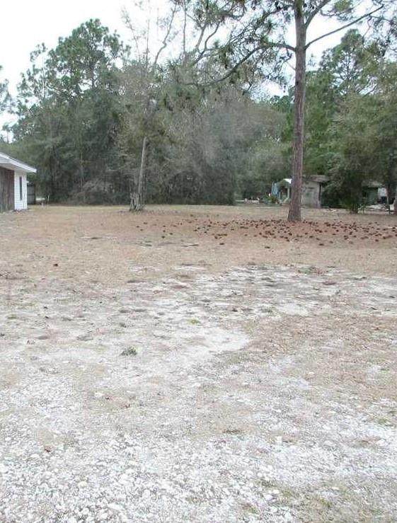 10 & 31 Three Rivers Rd - Photo 1