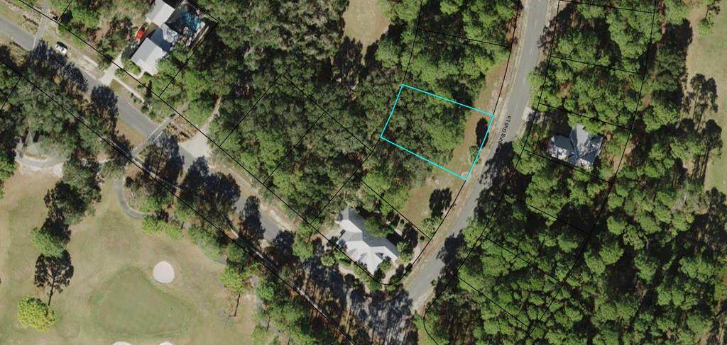 109 Laughing Gull Ln - Photo 1
