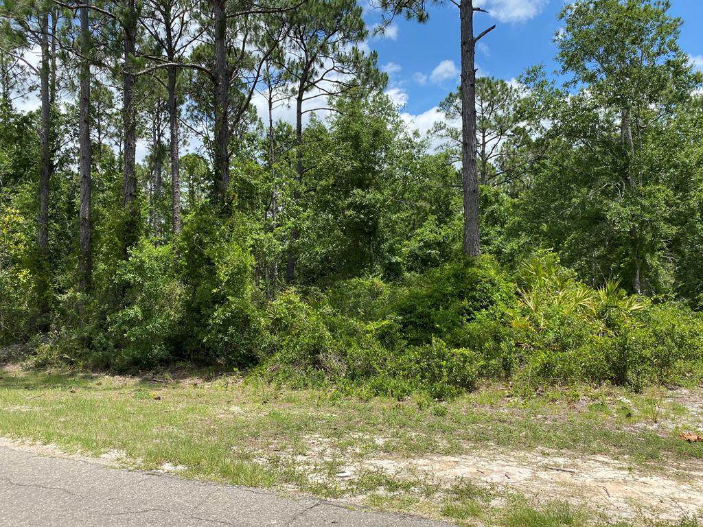 Lot 12 Jones Homestead Rd - Photo 1