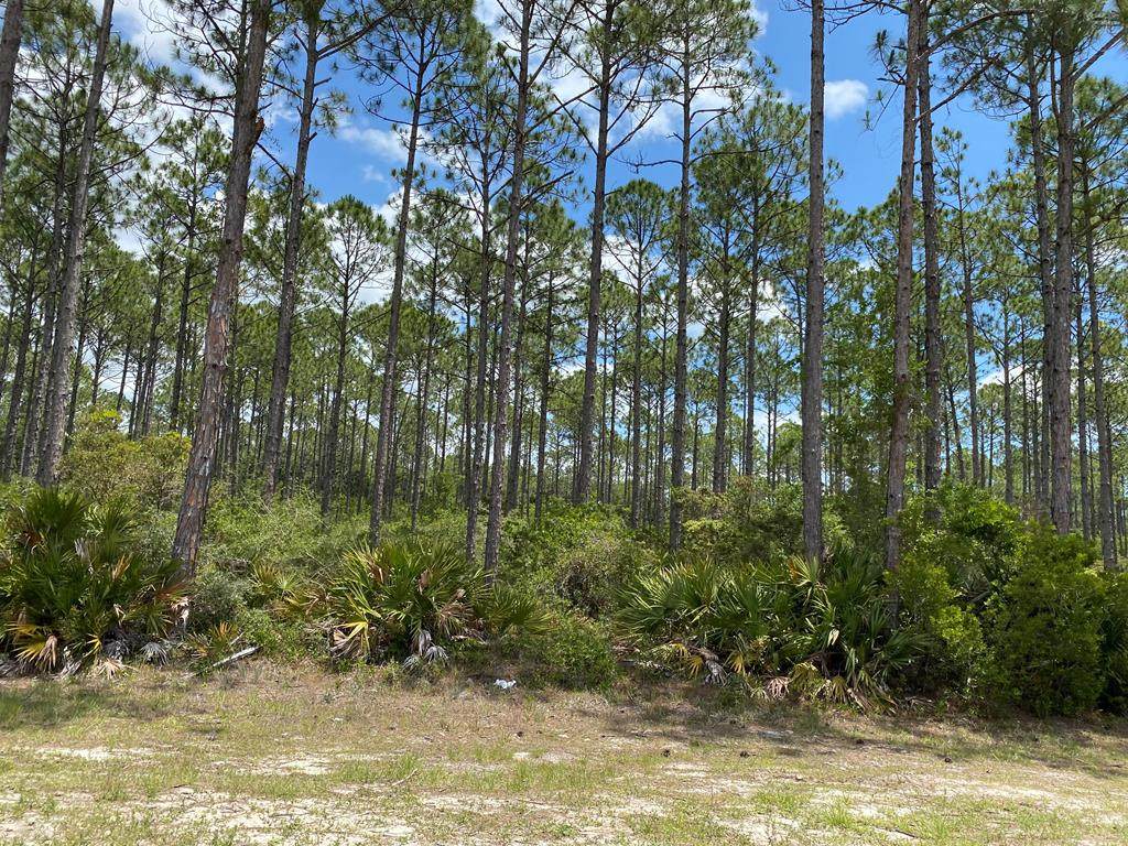 Lot 20 Jones Homestead Rd - Photo 1 Lot 20 Jones Homestead Rd - Photo 1