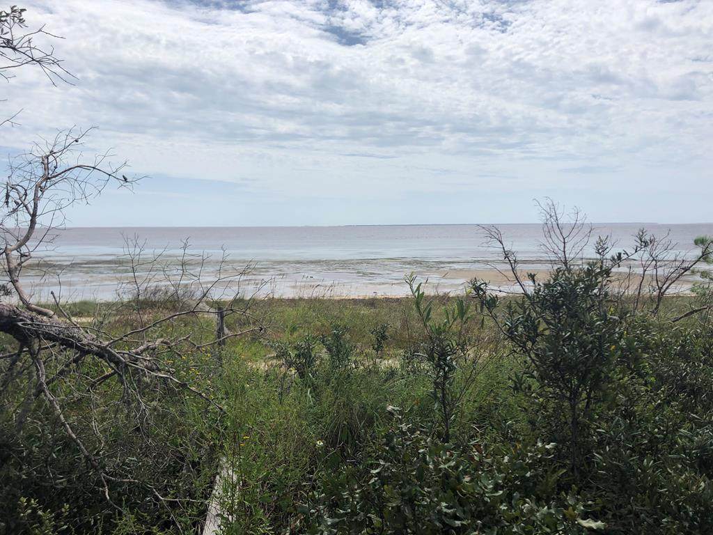 3010 Pristine Dr - Photo 1