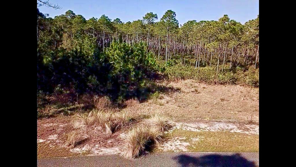 151 Marshmallow Ln - Photo 1
