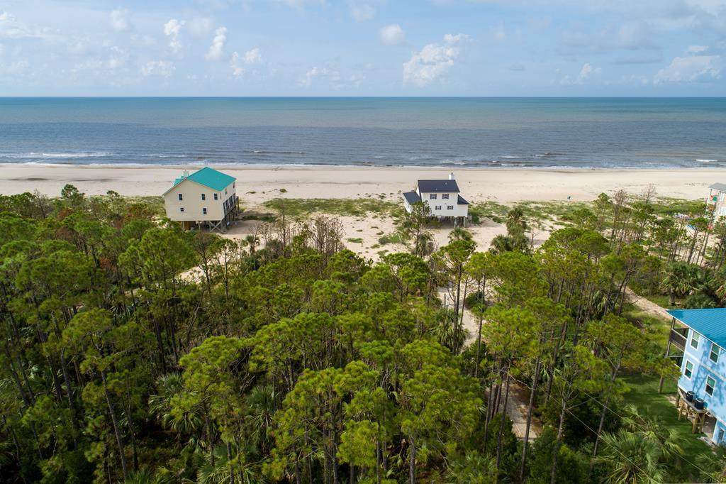 442 Indian Pass Rd - Photo 1