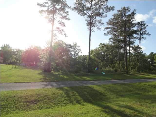 0 Charlie Gaskin Dr - Photo 1