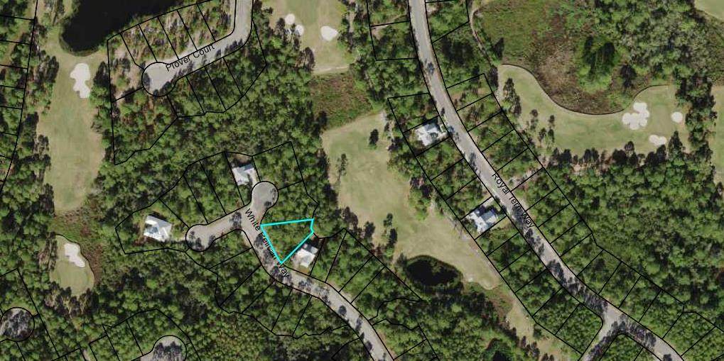 155 White Pelican Ct - Photo 1