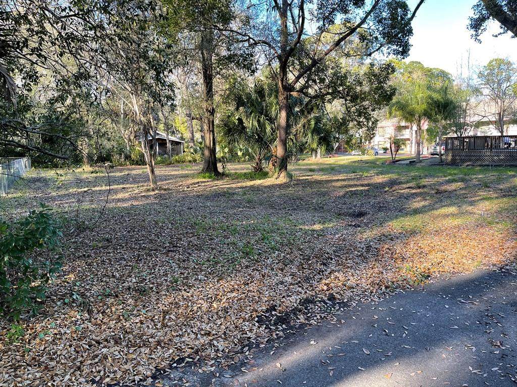 253 Alpha St - Photo 1