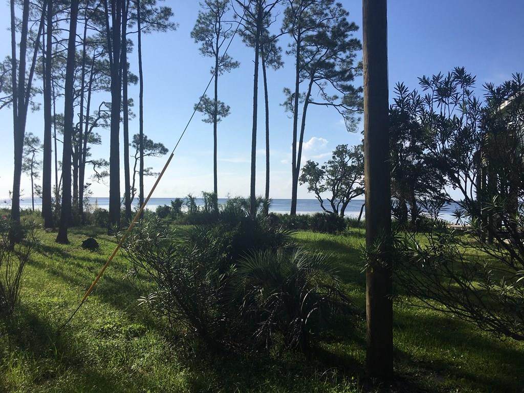 2906 Hwy 98 E - Photo 1