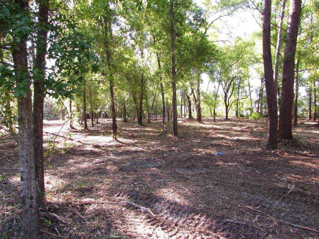 1110 Tallahassee St - Photo 1