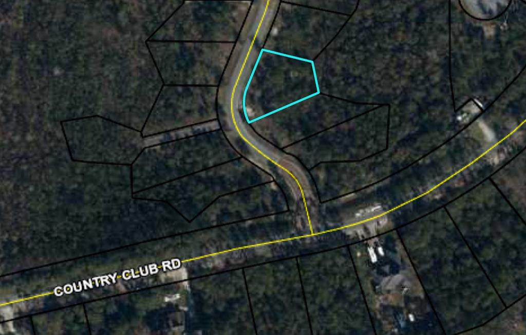 0 Shallow Reed Dr - Photo 1