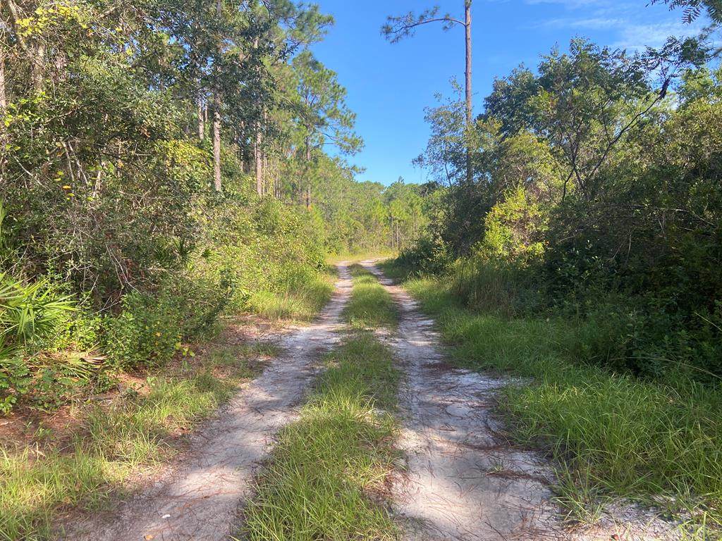 0 Cora Mae Rd - Photo 1