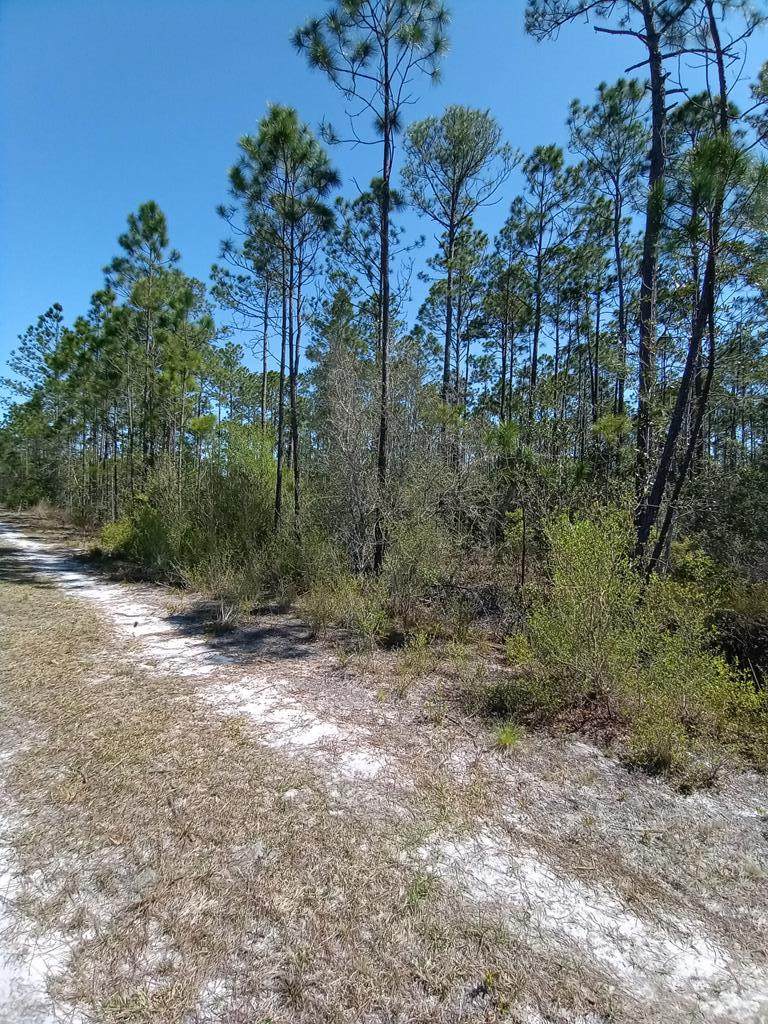205 Longleaf Rd - Photo 1