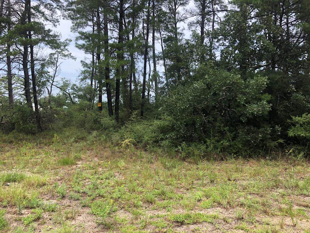 2267 Oak St - Photo 1