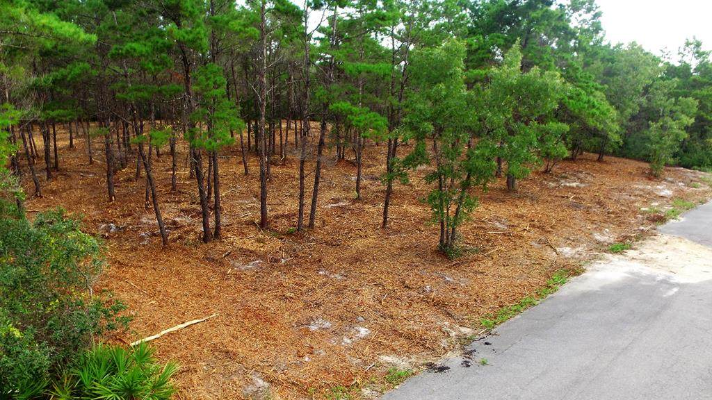131 Shell Bay Ct - Photo 1
