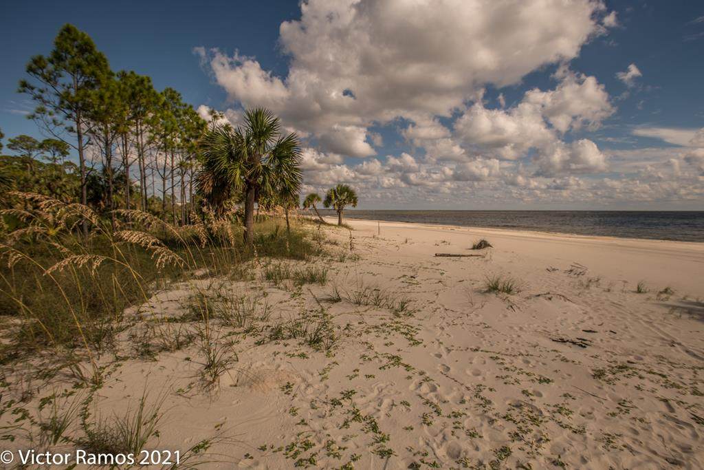 1528 Indian Pass Rd - Photo 1