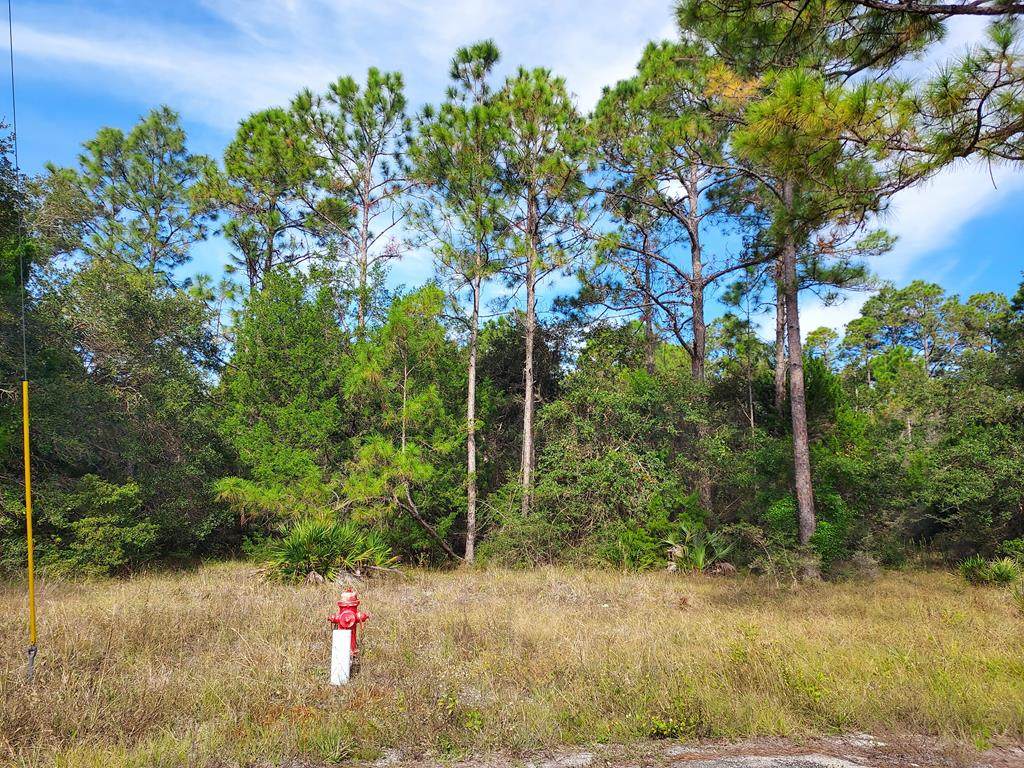 30 Apalachee St - Photo 1
