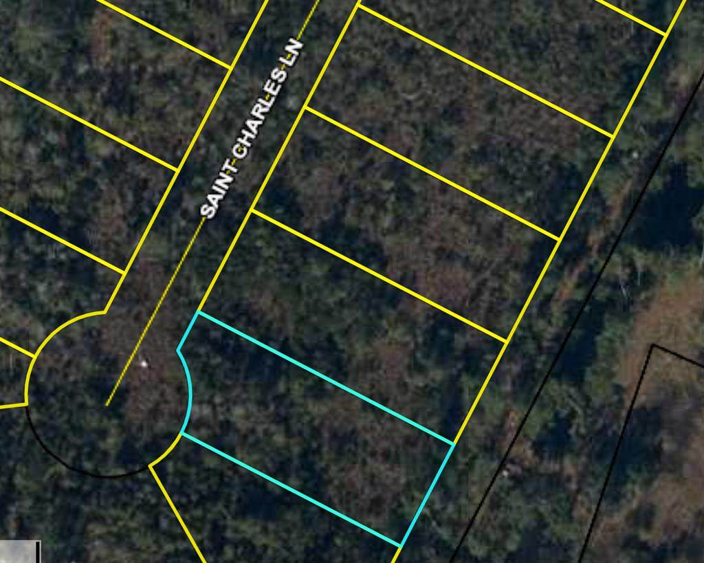 Lot 12 St Charles Ln - Photo 1