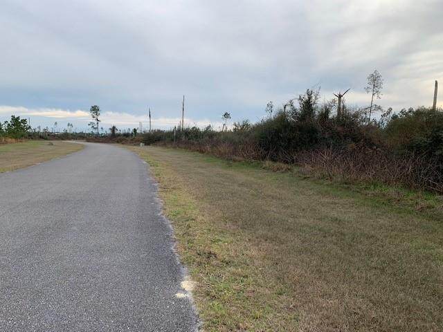 Lot 104 Wide Water Cir - Photo 1