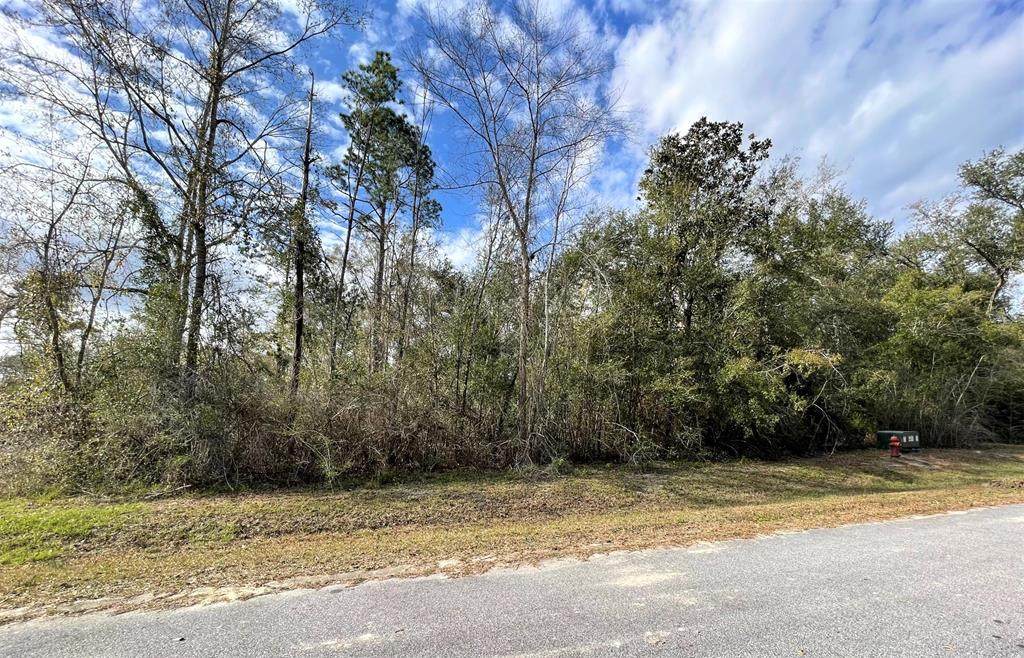 15 Little River Cir - Photo 1