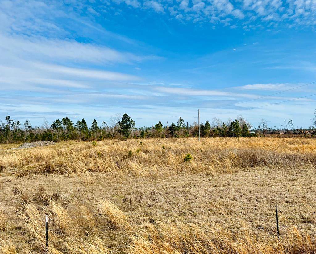 0 Goldenrod Ln - Photo 1