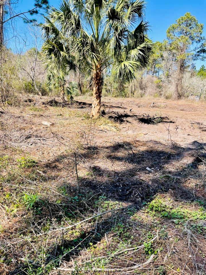 133 Hwy 65 - Photo 1