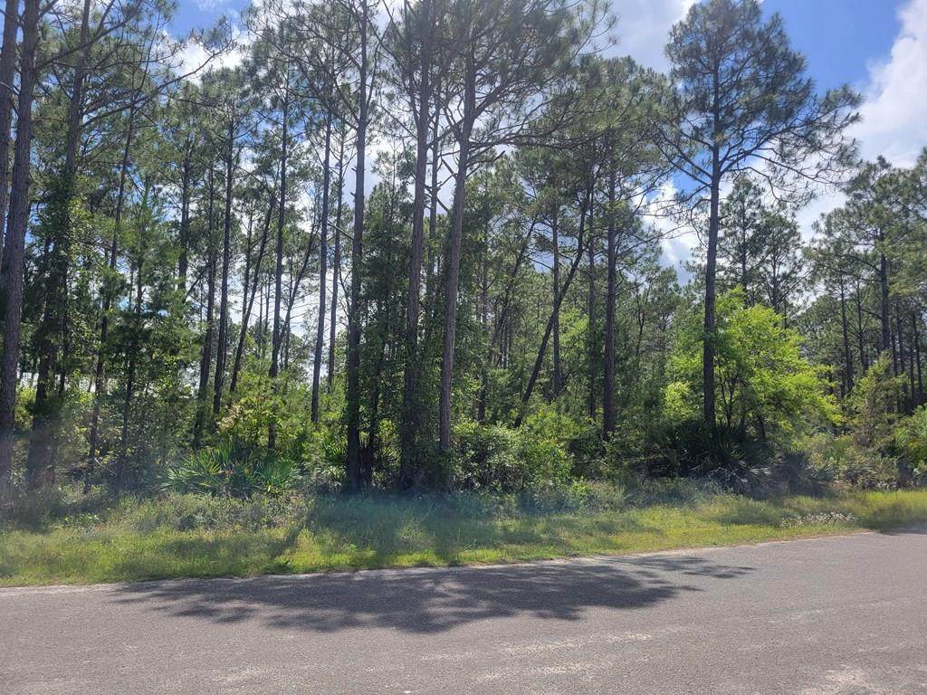 289 Baywood Dr - Photo 1
