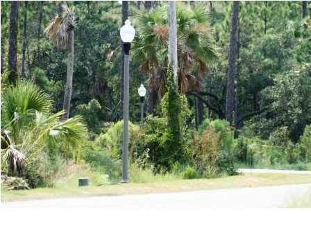 144 Sweet Bay Ln - Photo 1