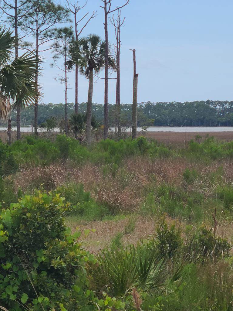 Lot 2 Cr 30 - Photo 1